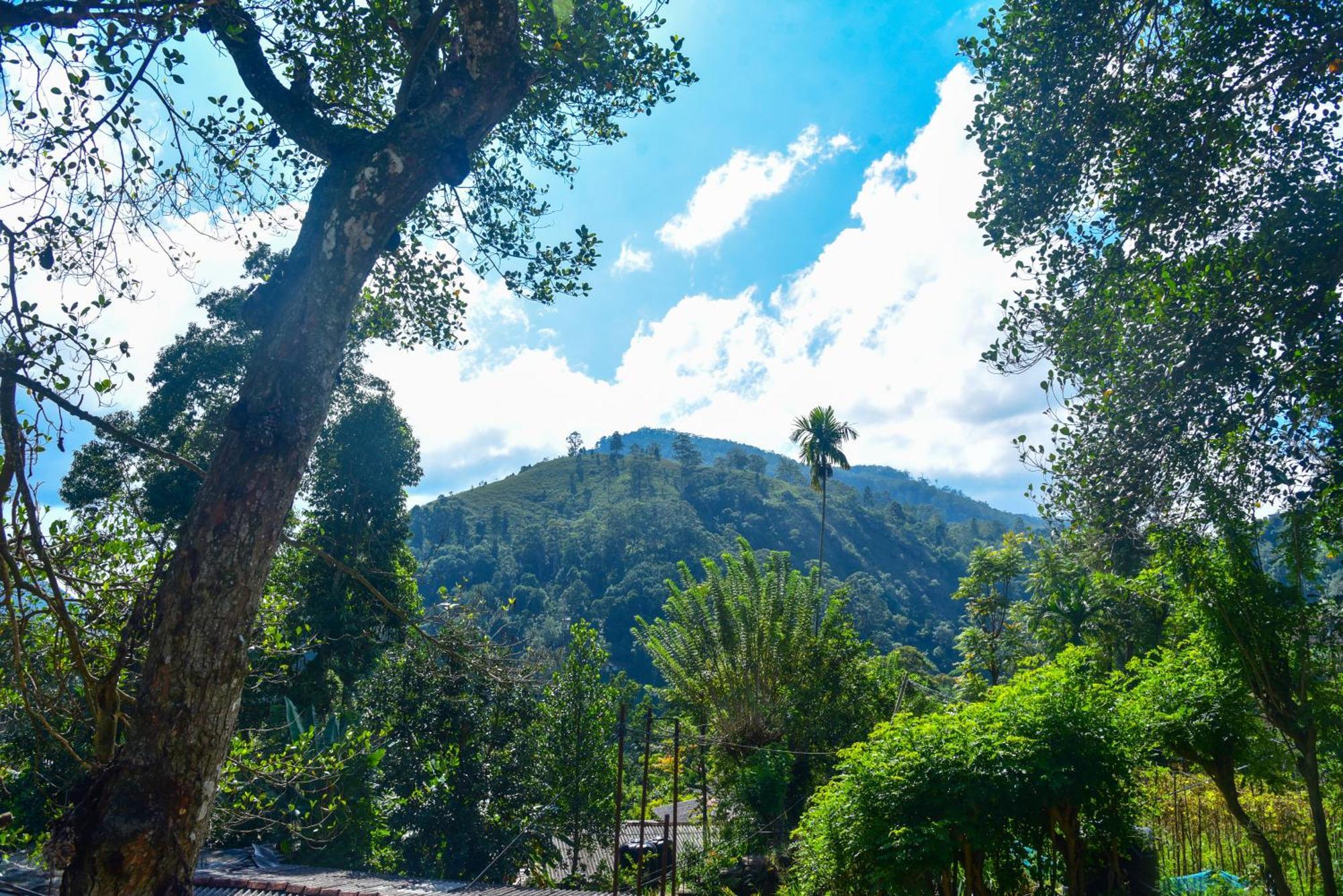 Dawn View Home Stay Ella Bagian luar foto